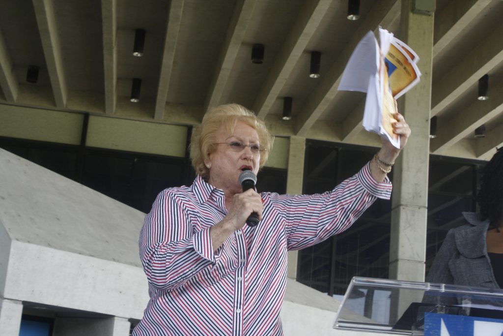 Faculty speaking at a rally.