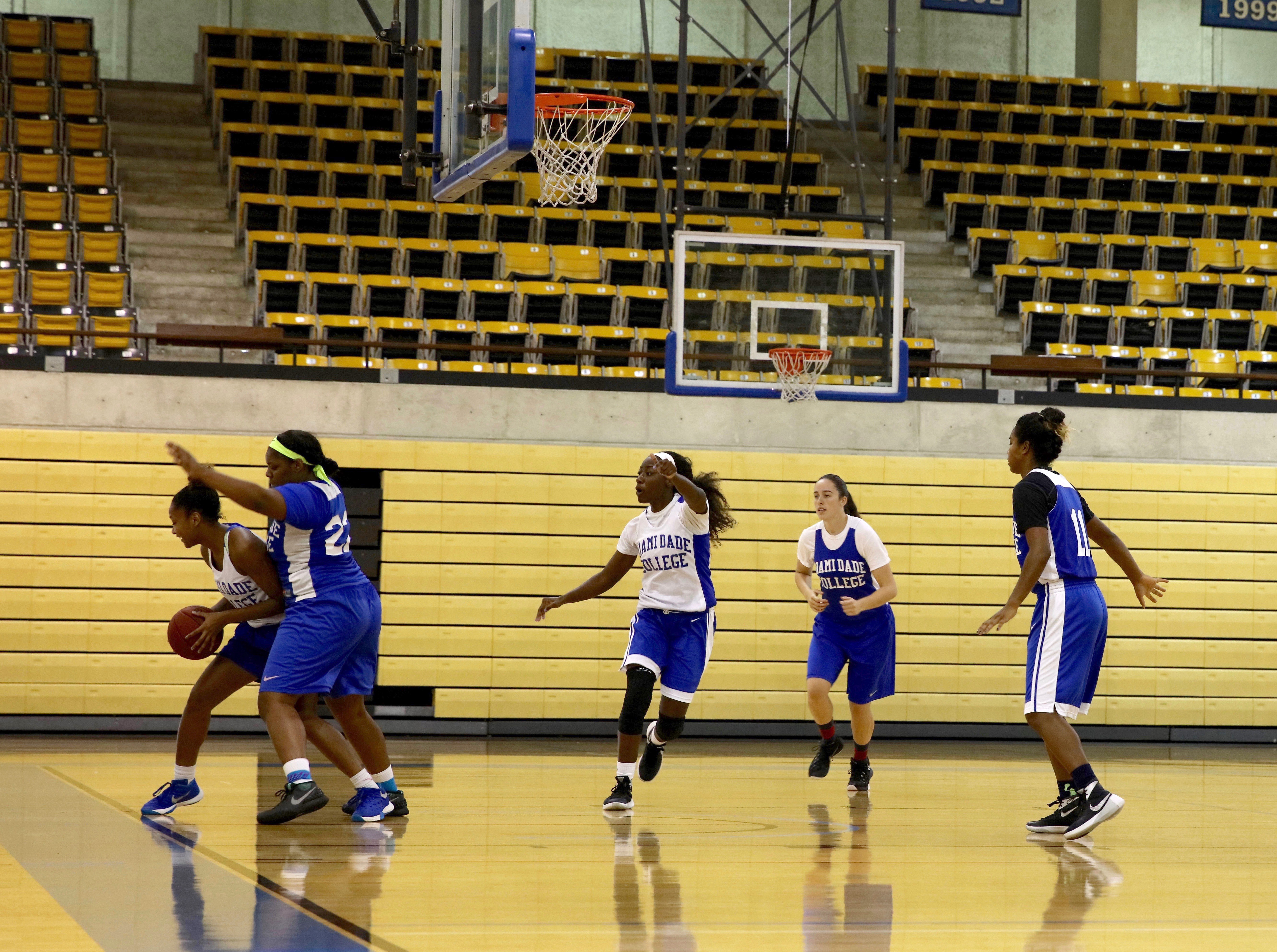 Lady Sharks on the court.
