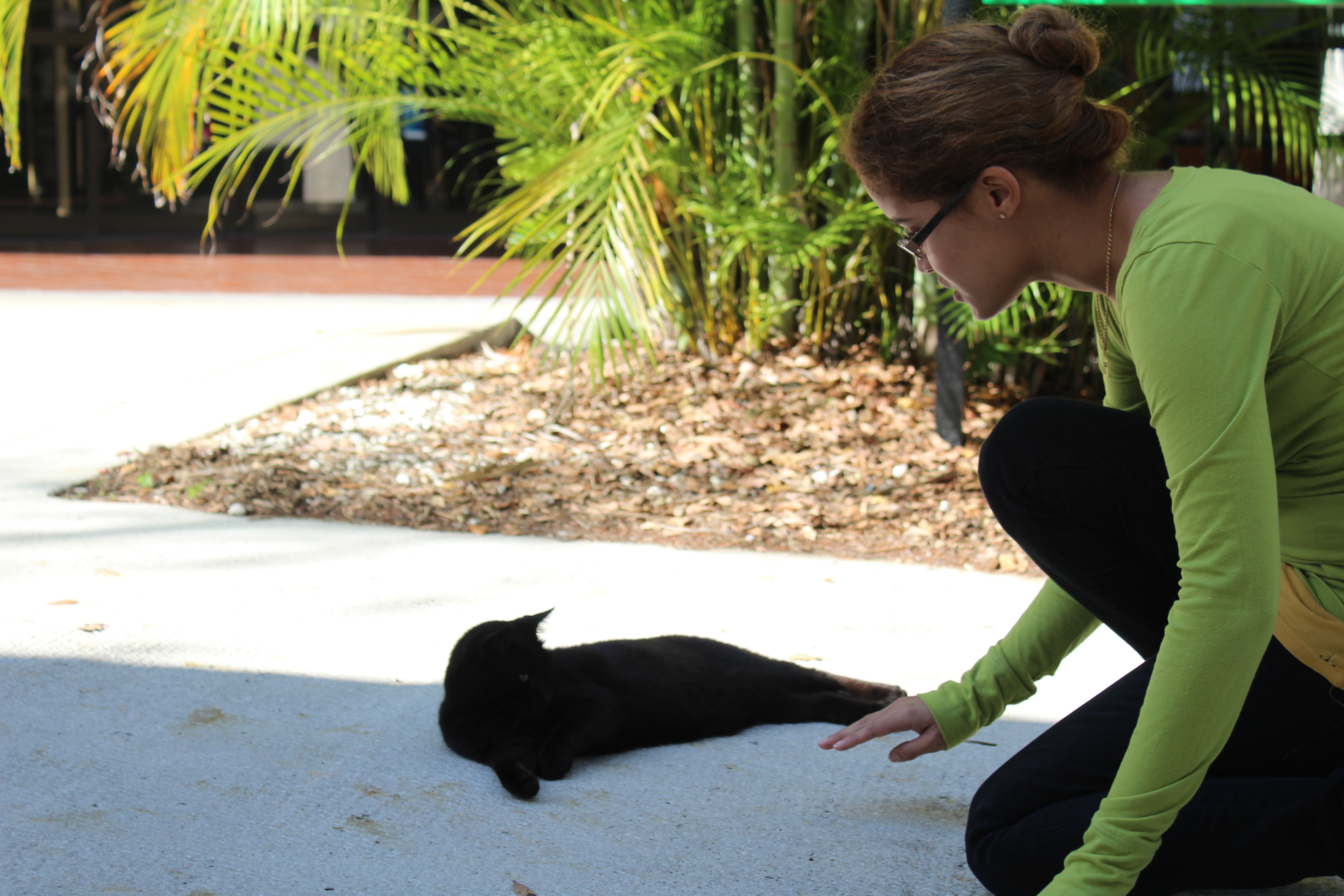 Caroline Barjon-Ramos attempting to pet one of many cats.