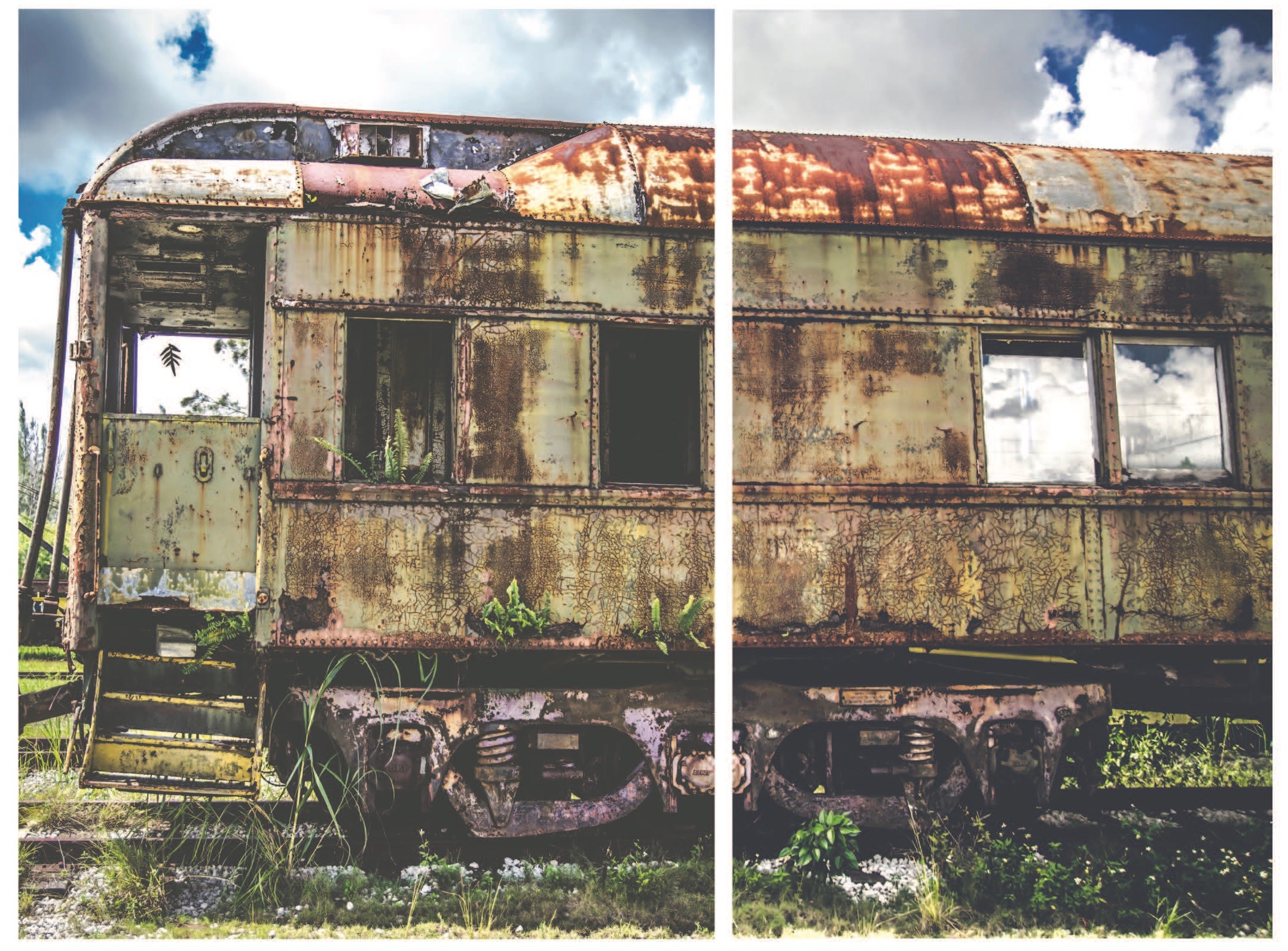 Photo of artwork. Miambiance