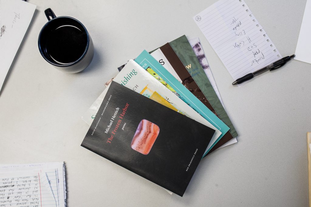 A copy of Michael Hettich's new book The Frozen Harbor.