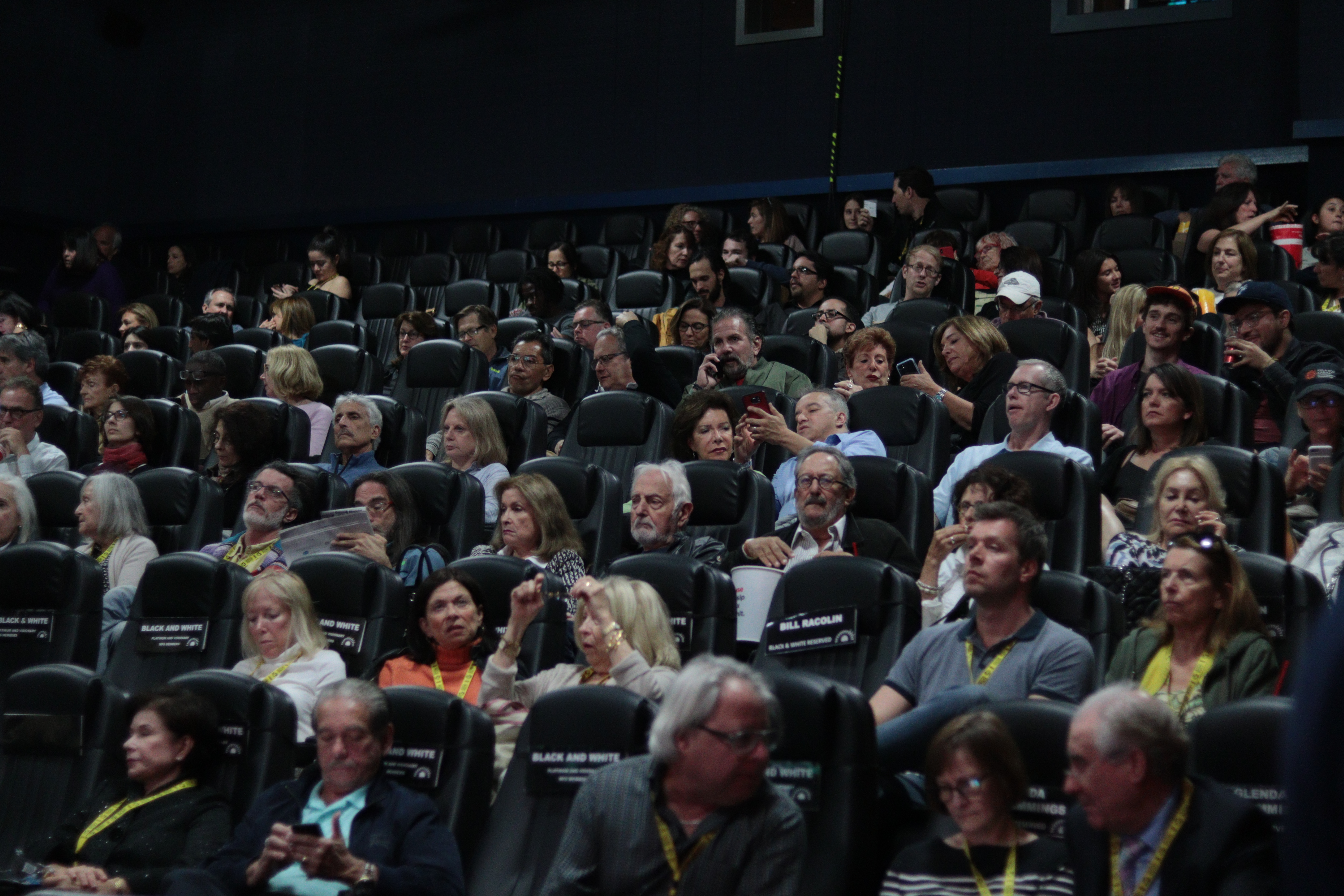 The audience about to view a screening.