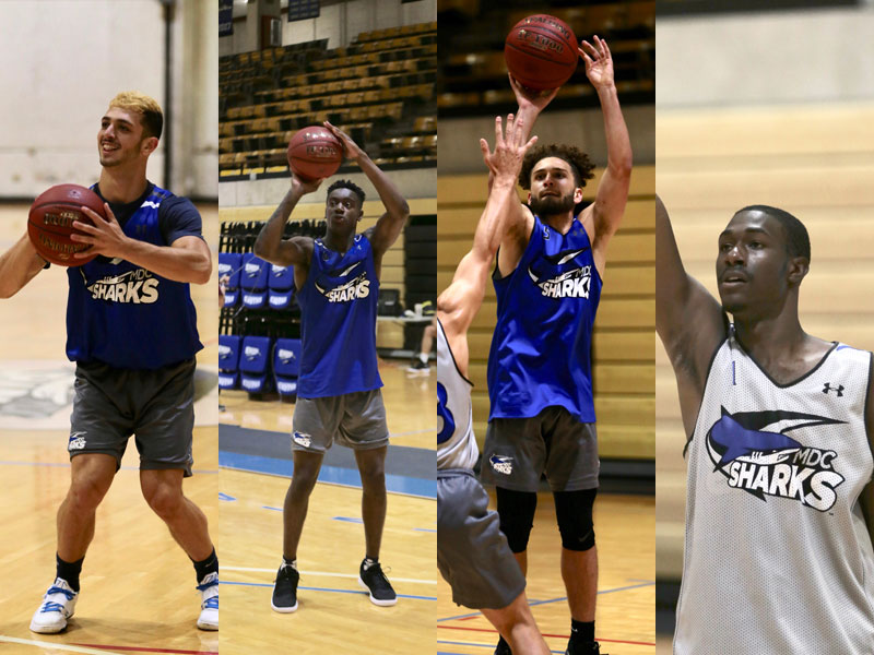 Collage of the four featured Sharks players.