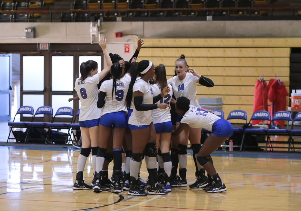 MDC's Lady Sharks volleyball team celebrating.