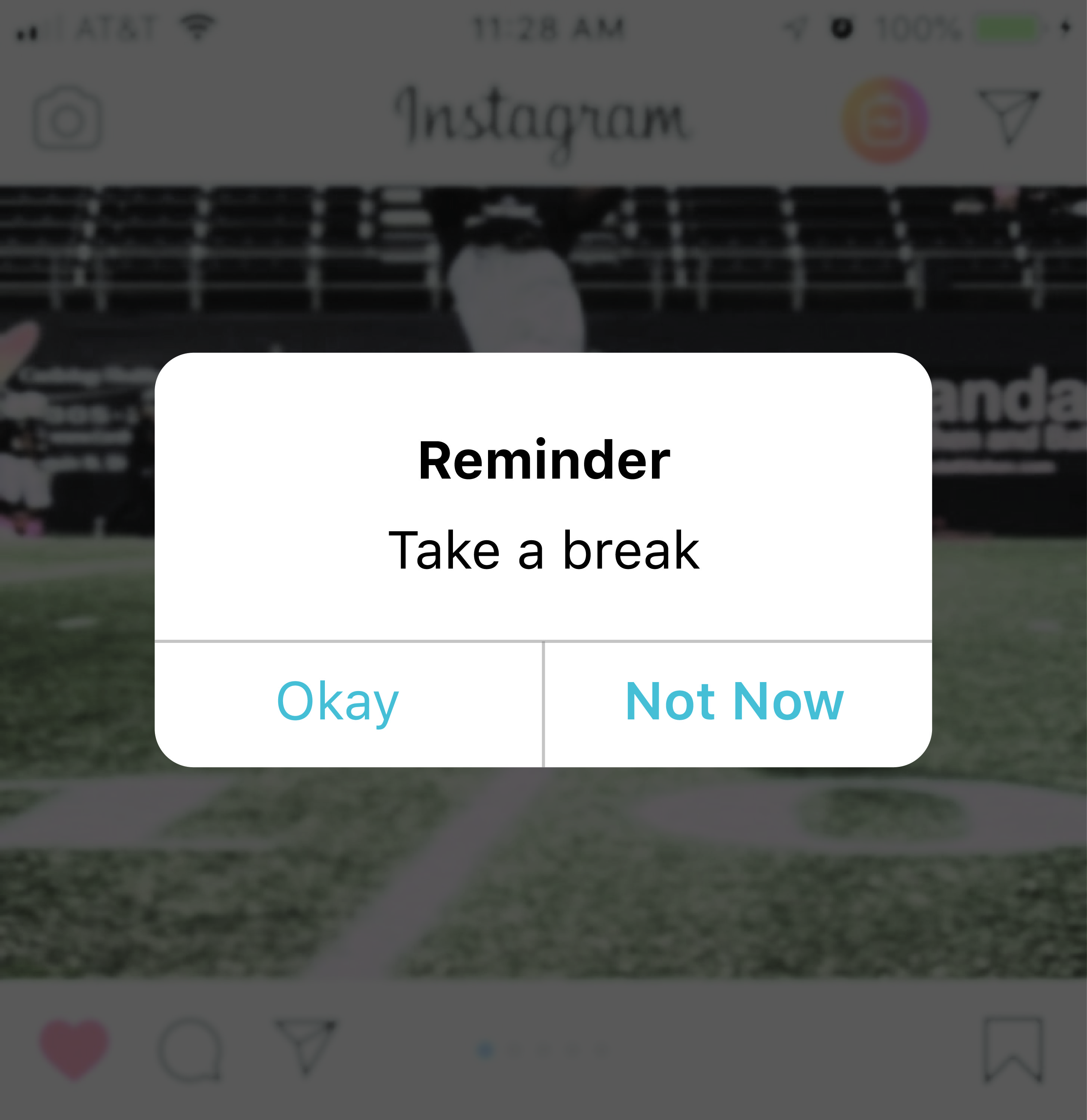 Social media graphics by Kaley Peniche.