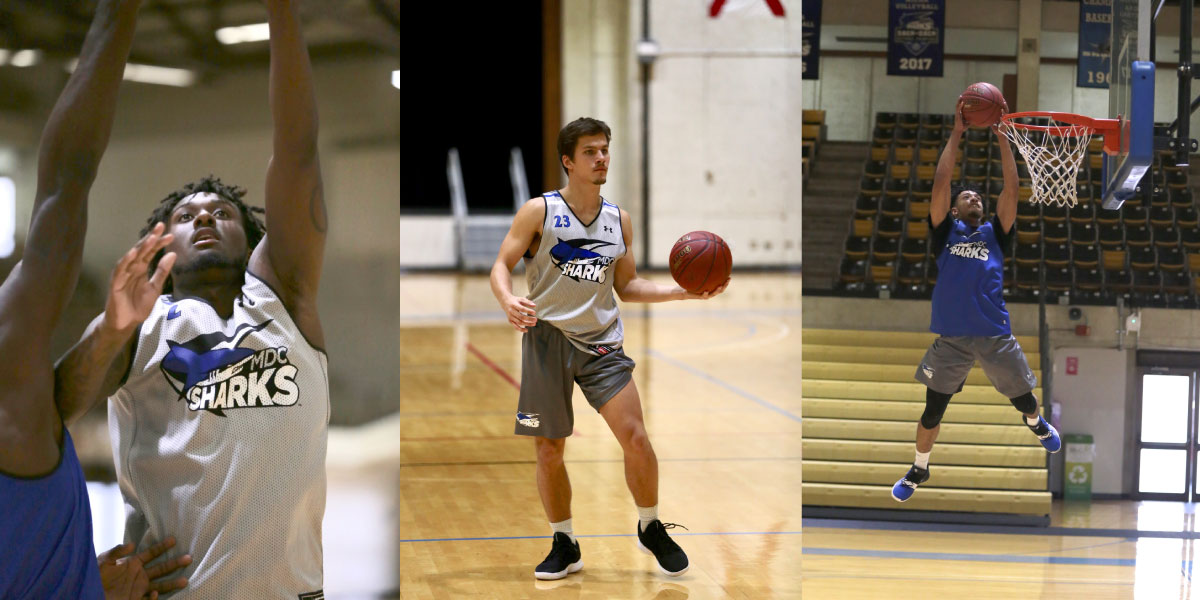 Collage of the players.