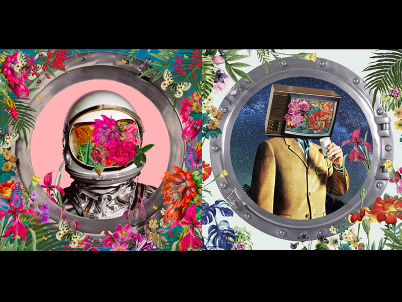 Artworks by David Krovblit.