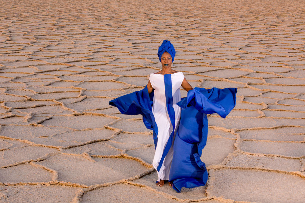 Promotional image for Afro Roots.