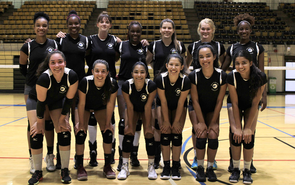 Photo of the volleyball team.
