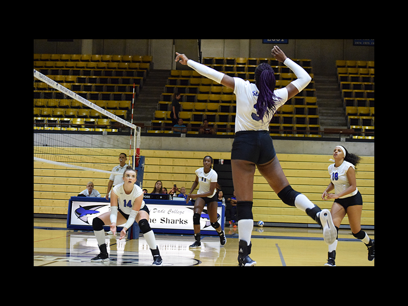 Lady Sharks during a game.