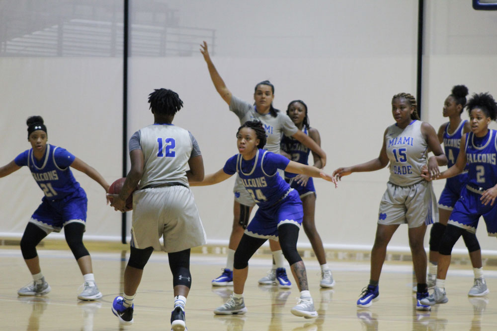 Lady Sharks on the court.