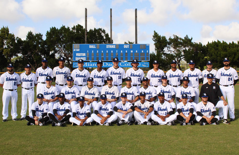 Men's baseball team posing for a group picture.