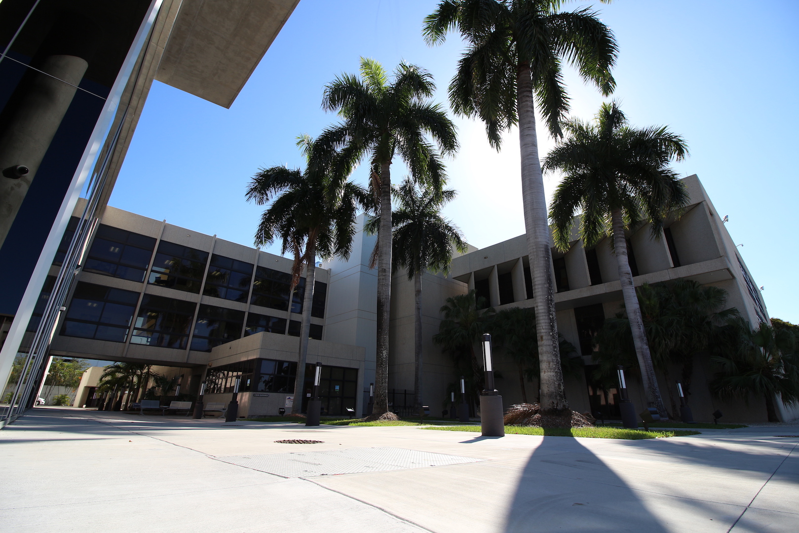 Remote Learning Summer Term