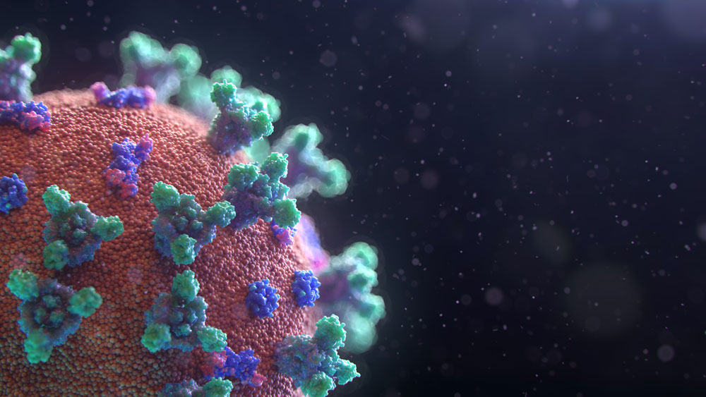 Covid-19 virus model