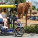 zoo_miami_web