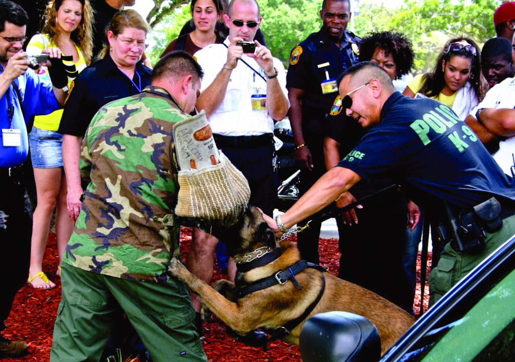 Demonstration on how a police dog takes down a criminal.