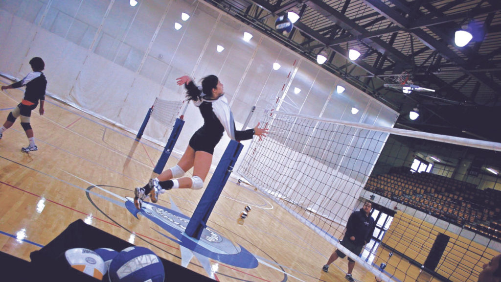 Volleyball