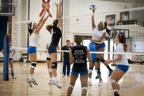 Lady Sharks Look To Build On Last Year’s Success - The Reporter: The ...