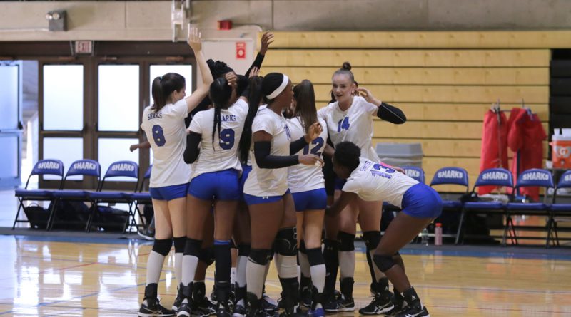 MDC's Lady Sharks volleyball team celebrating.