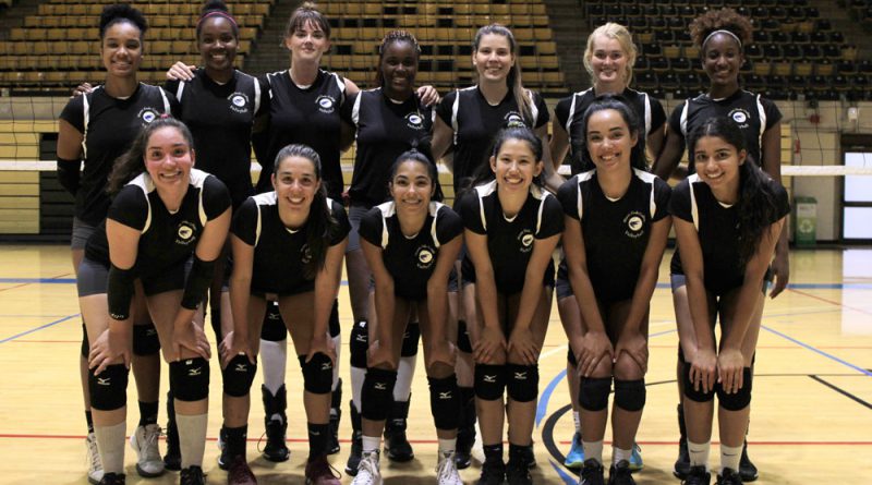 Photo of the volleyball team.
