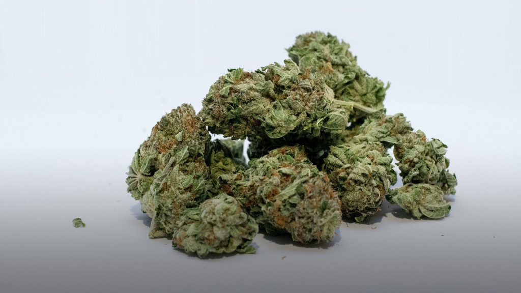 Image of marijuana.