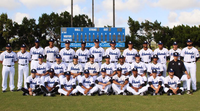Men's baseball team posing for a group picture.