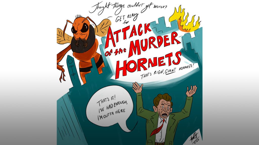 Murder Hornets