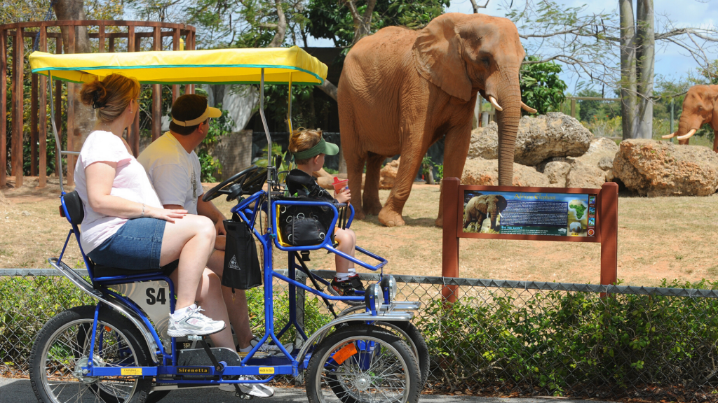 Zoo Miami.