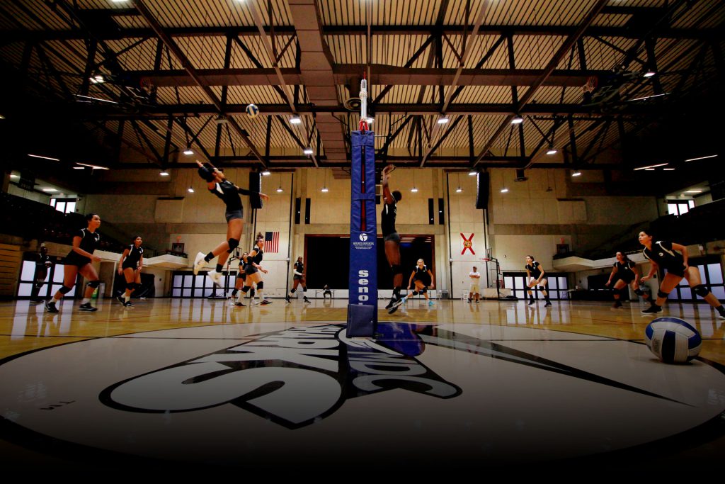 Volleyball team on court.