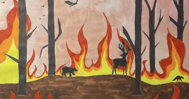 Wildfires illustration by Carolina Soto.