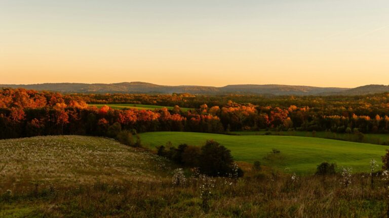 Earth Ethics Institute Opens Applications For Narrow Ridge Trip