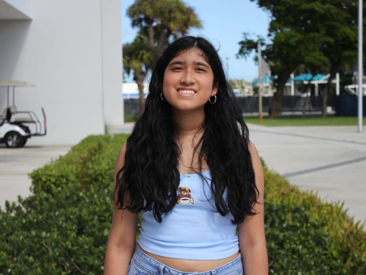 Impact.Edition internship