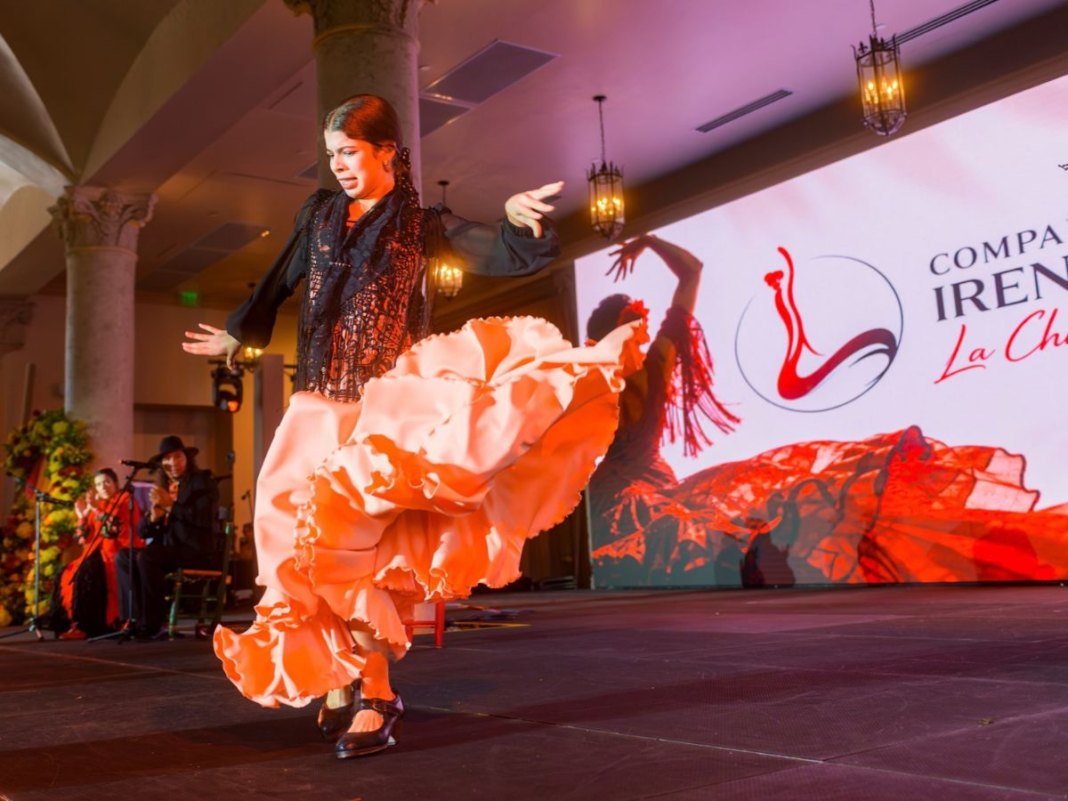 A flamenco dancer performs.
