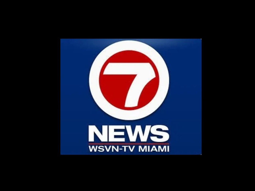 WSVN 7 logo.